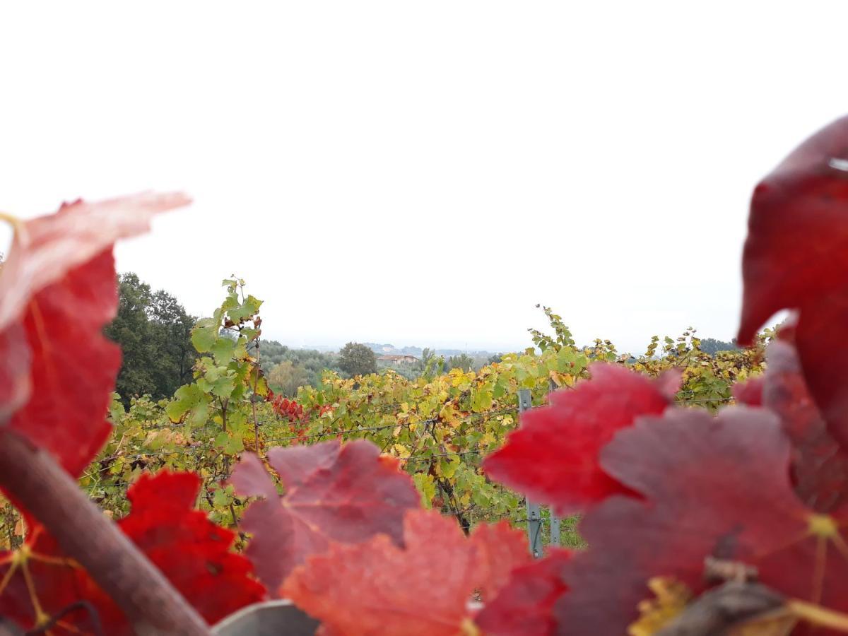 La Torre Wine Resort Montecarlo Zewnętrze zdjęcie