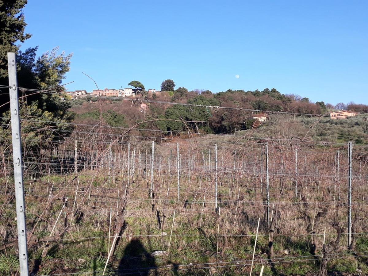 La Torre Wine Resort Montecarlo Zewnętrze zdjęcie