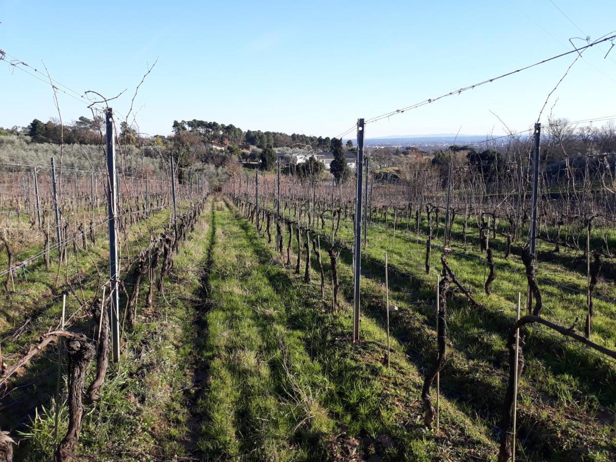 La Torre Wine Resort Montecarlo Zewnętrze zdjęcie